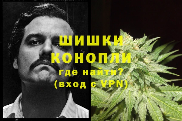 дживик Зеленодольск