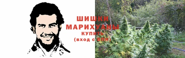 прущая мука Арсеньев